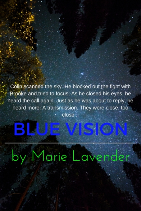 blue-vision-promo5